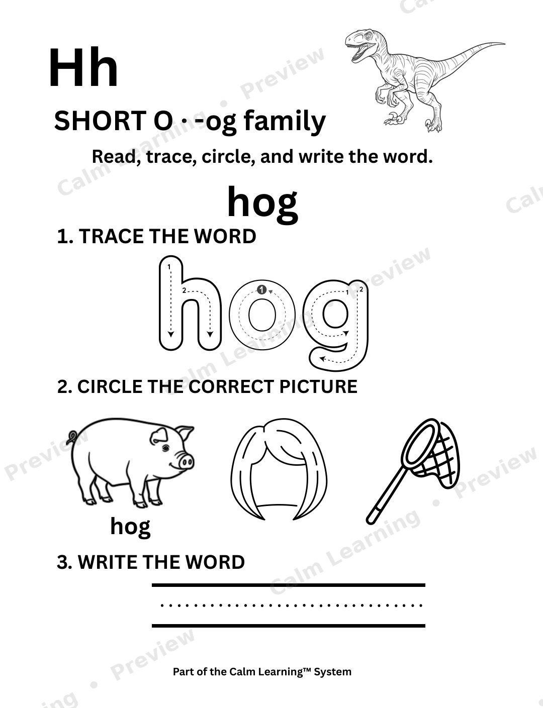 Dino CVC Short O Words preview page 2