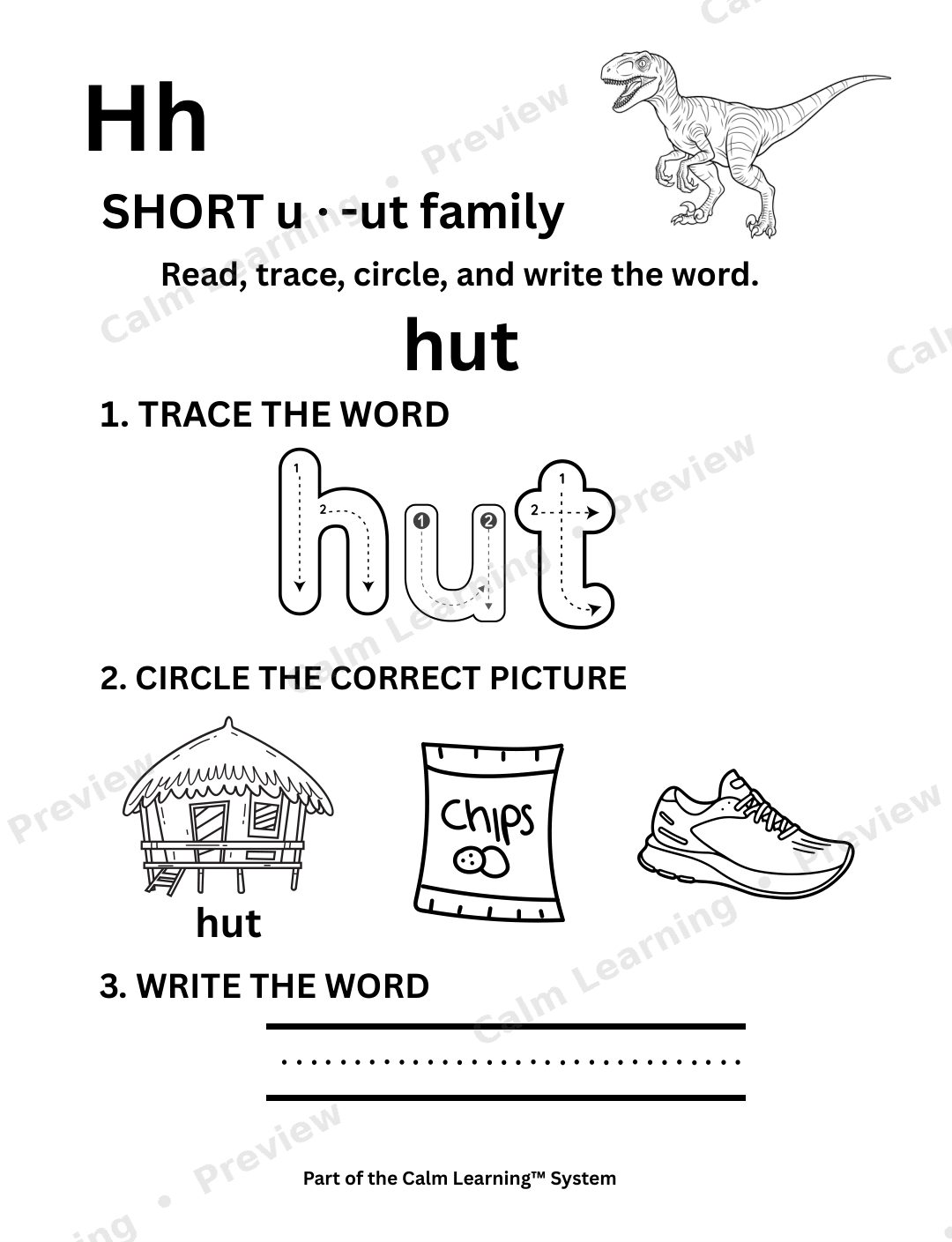 Dino CVC Short U Words preview page 2