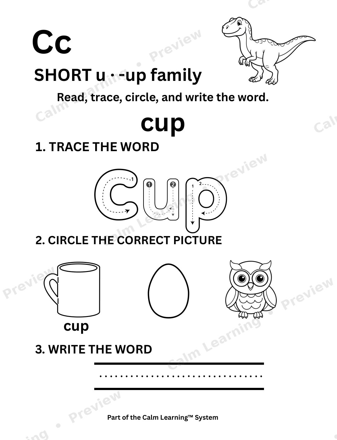 Dino CVC Short U Words preview page 3