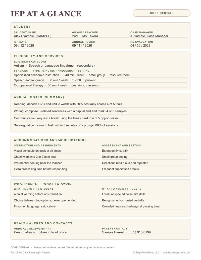 FREE IEP at a Glance preview page 2