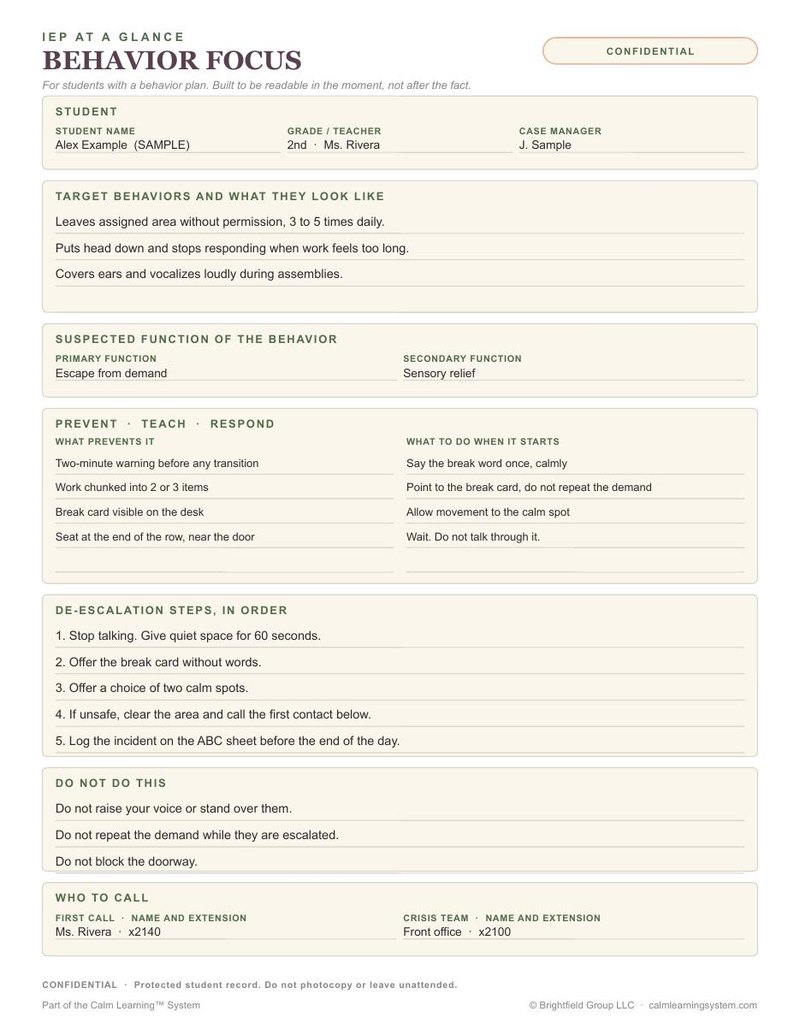 IEP at a Glance PRO preview page 2