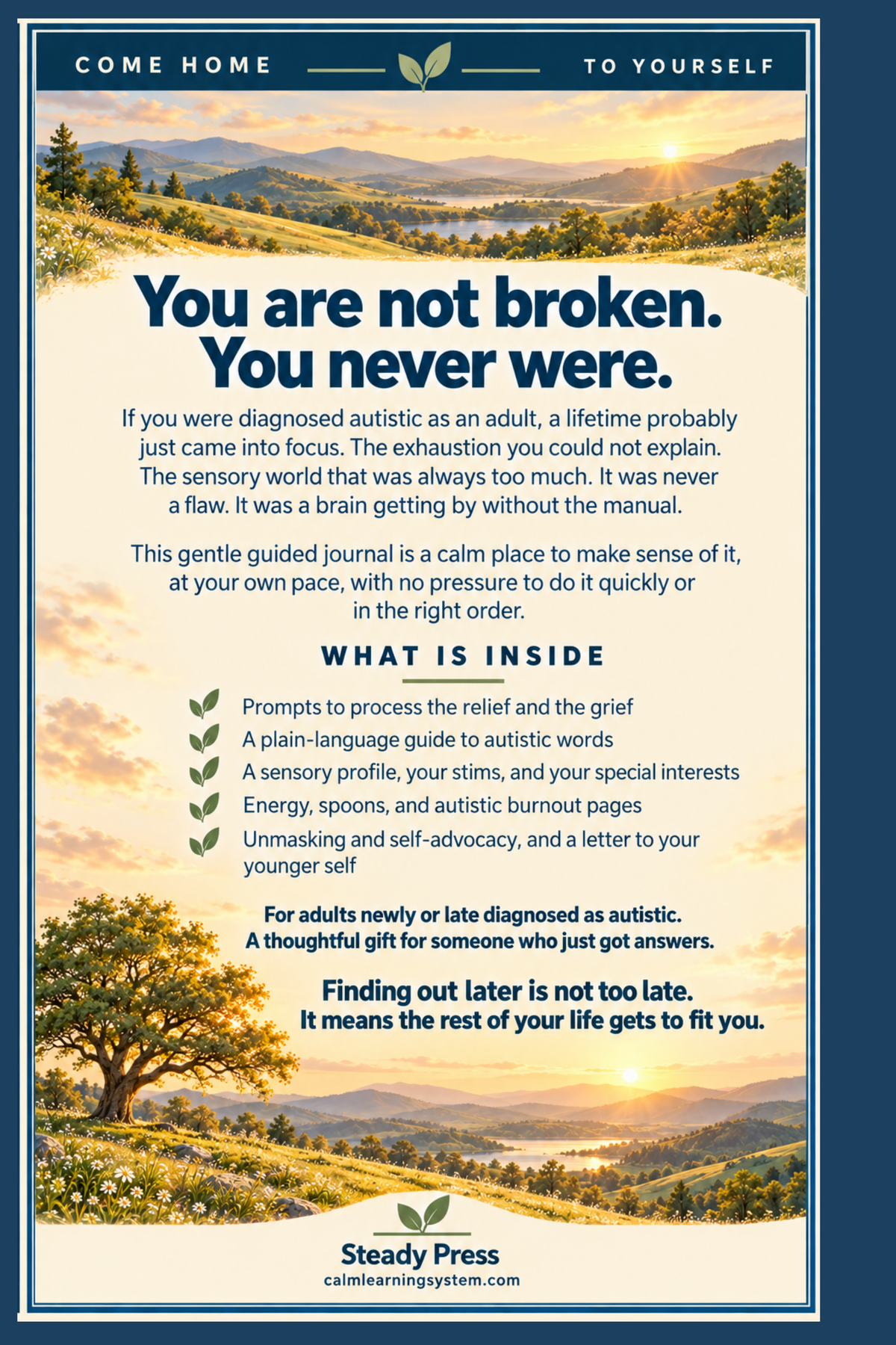 The Newly Diagnosed Autistic Adult Journal back cover